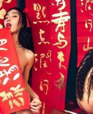 图神特选44